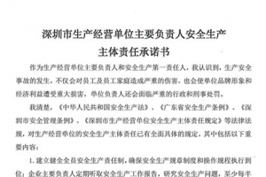 深圳市生產經營單位主要負責人安全生產主體責任承諾書